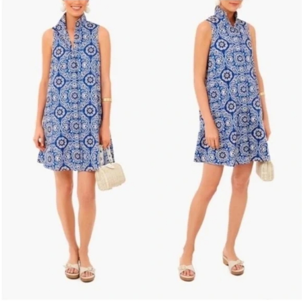 Tuckernuck Blue and White Patterned Mini Dress